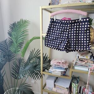 Ann Taylor Blue and Cream Eyelet Shorts